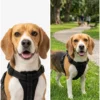 Arnes-negro-XS-para-perro Arnés de paseo para perro talla XS en color negro con correas ajustables marca Buen Amigo.