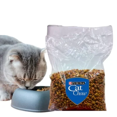 Gato gris comiendo de un plato junto a bolsa trasparente de alimento Purina Cat Chow Adultos de 1 kg con sello azul.