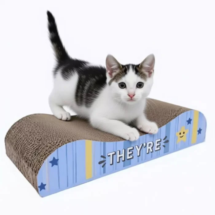 Rascador-de-carton-estilo-sofa-35-cm-para-gato Gatito blanco con manchas atigradas parado jugando sobre rascador de cartón estilo sofá de 35 cm con estampado azul.