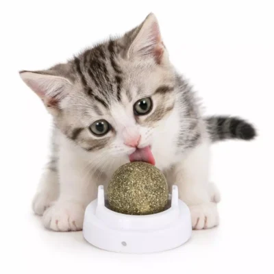 Bola de catnip giratoria prensada sobre base adhesiva de plástico blanco para pared.